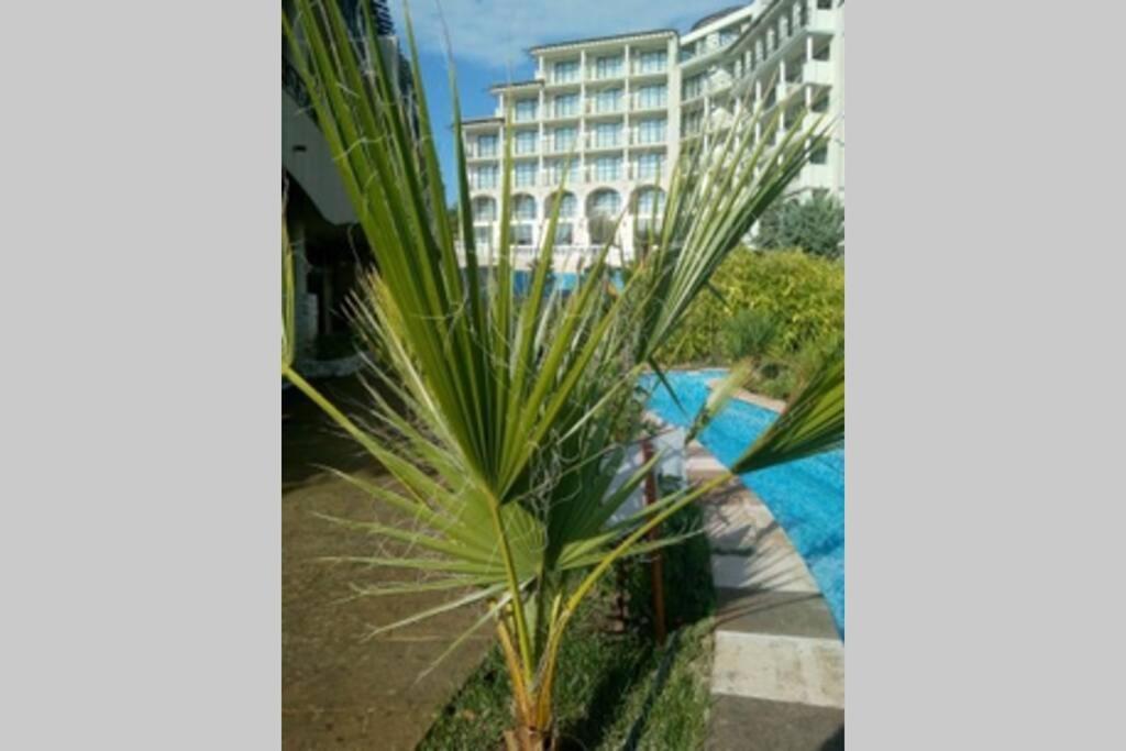 Studio At "The Cliff" Complex South Beach Obzor, Private Appartment A2A5 Exterior foto